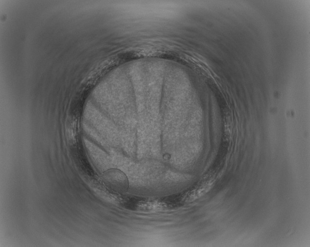 X0000074210503200609151559