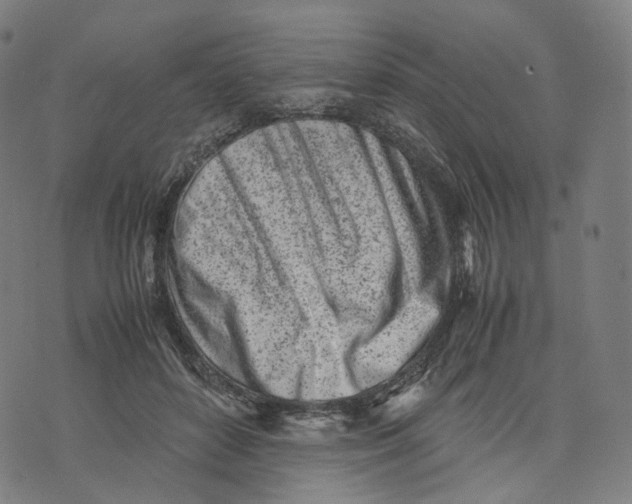 X0000074210504200609151559