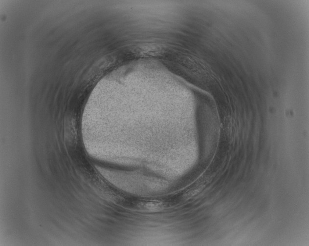 X0000074210506200609151559