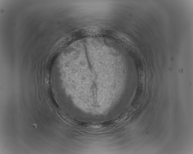 X0000074210507200609151559