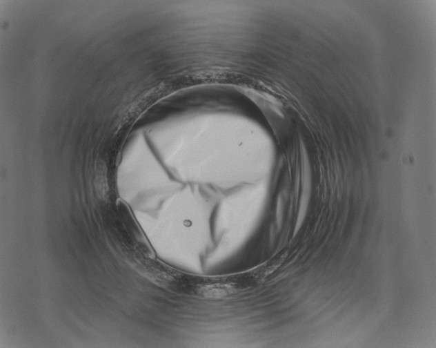 X0000074210508200609151559