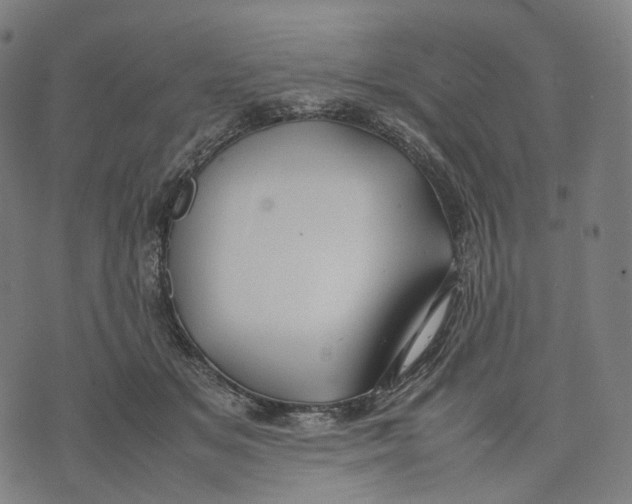 X0000074210509200609151559