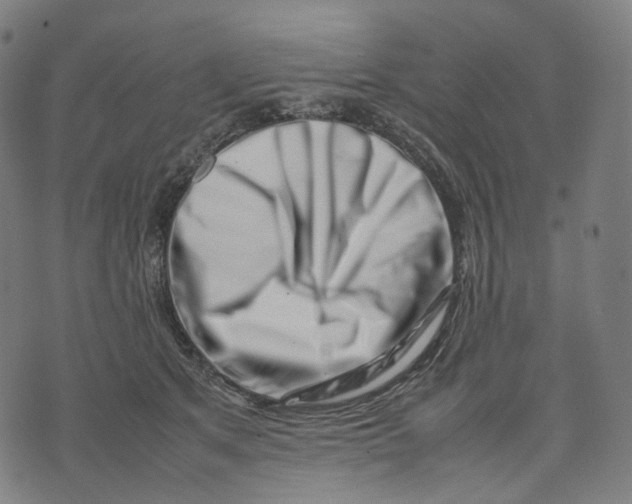 X0000074210513200609151559