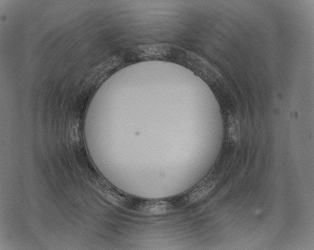 X0000074210514200609151559