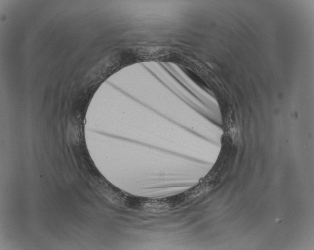 X0000074210515200609151559