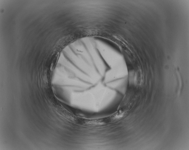 X0000074210516200609151559