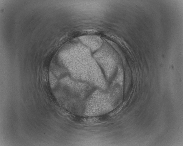 X0000074210517200609151559