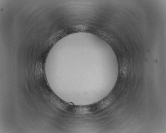 X0000074210518200609151559