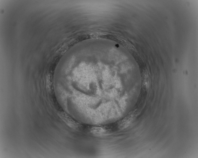 X0000074210519200609151559