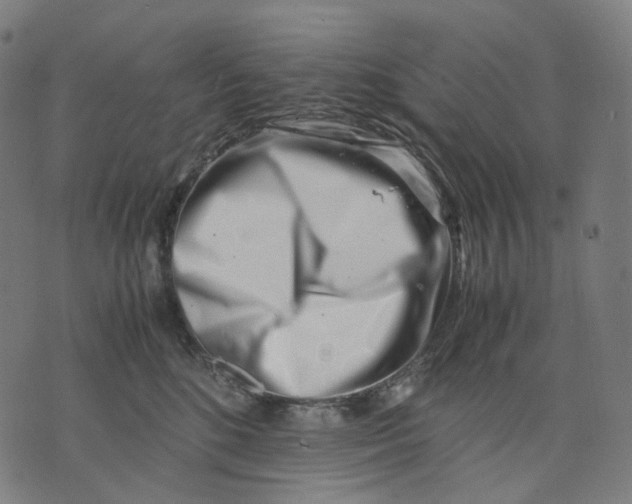 X0000074210520200609151559