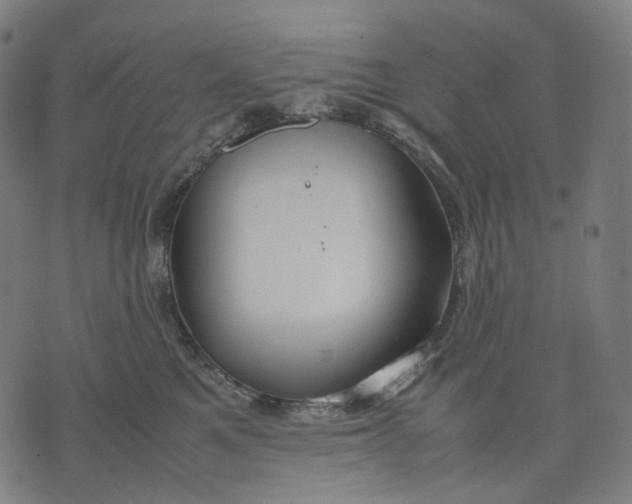 X0000074210521200609151559