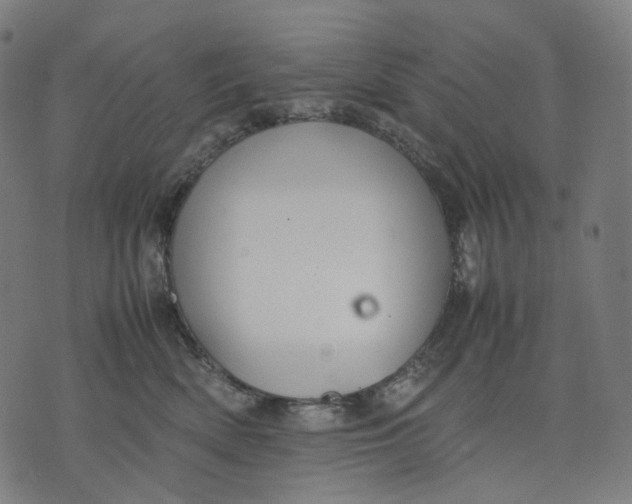 X0000074210522200609151559