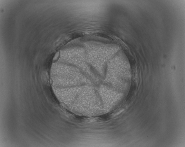 X0000074210523200609151559