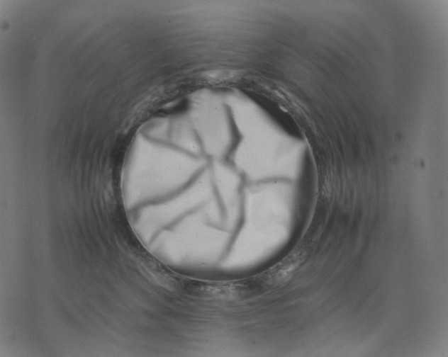 X0000074210524200609151559