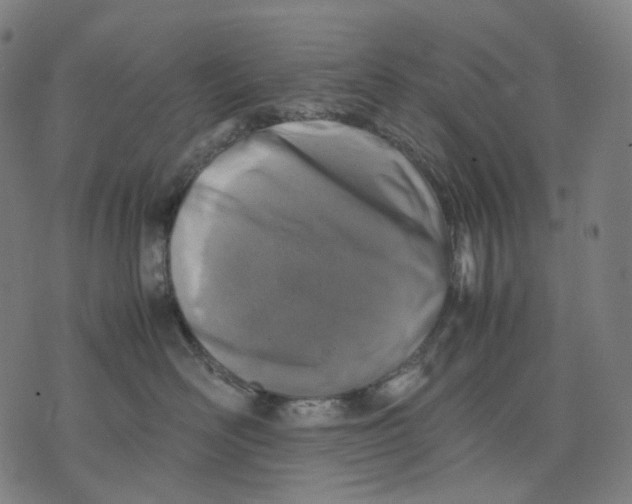 X0000074210526200609151559