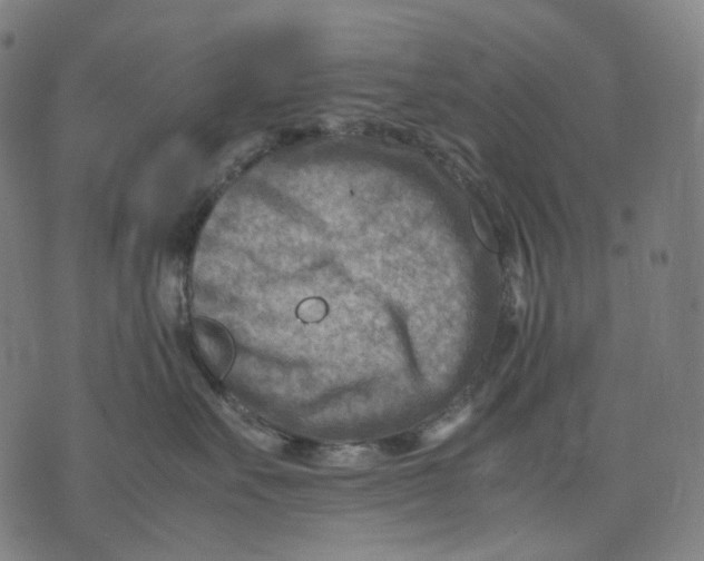 X0000074210527200609151559