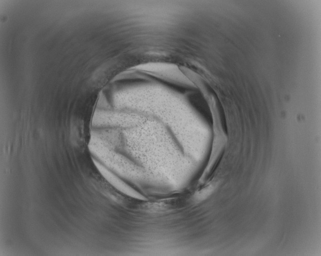 X0000074210528200609151559