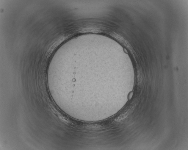 X0000074210529200609151558