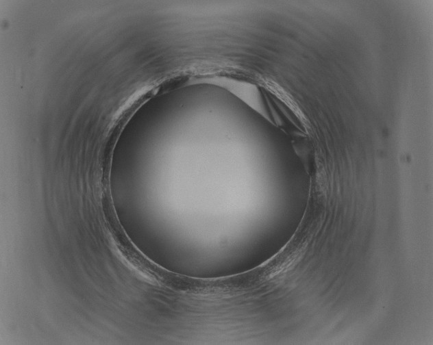 X0000074210530200609151558