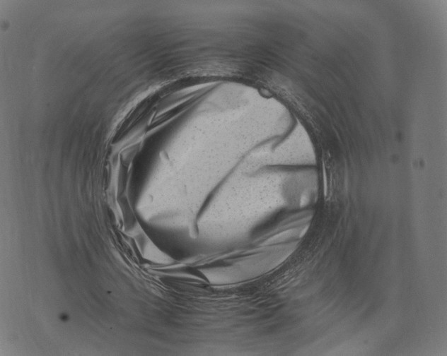 X0000074210531200609151558