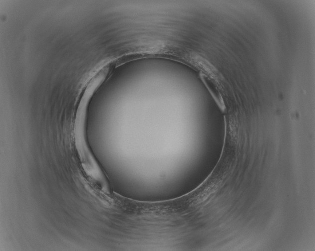 X0000074210532200609151558