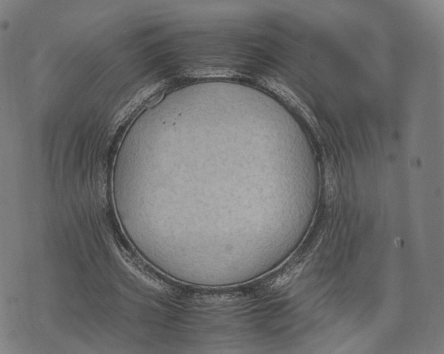 X0000074210533200609151558