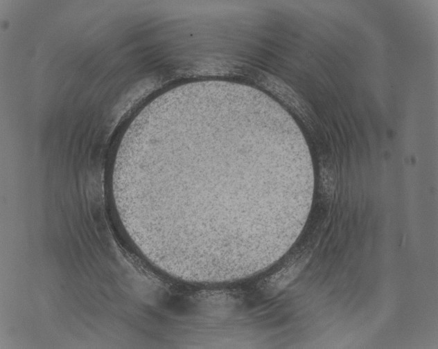 X0000074210534200609151558