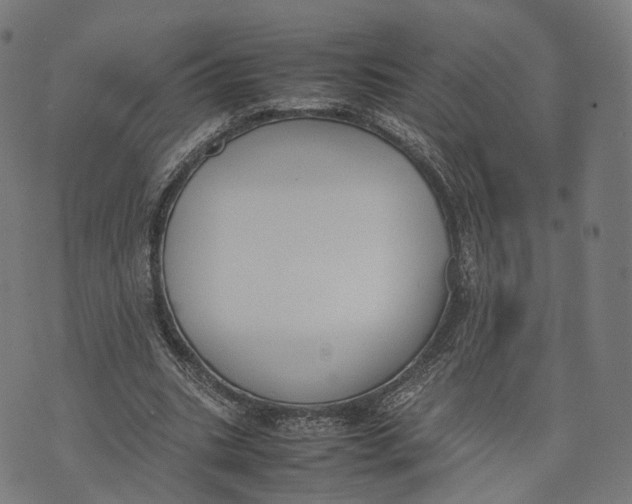 X0000074210535200609151558