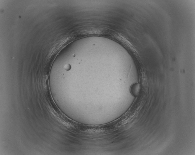 X0000074210537200609151558