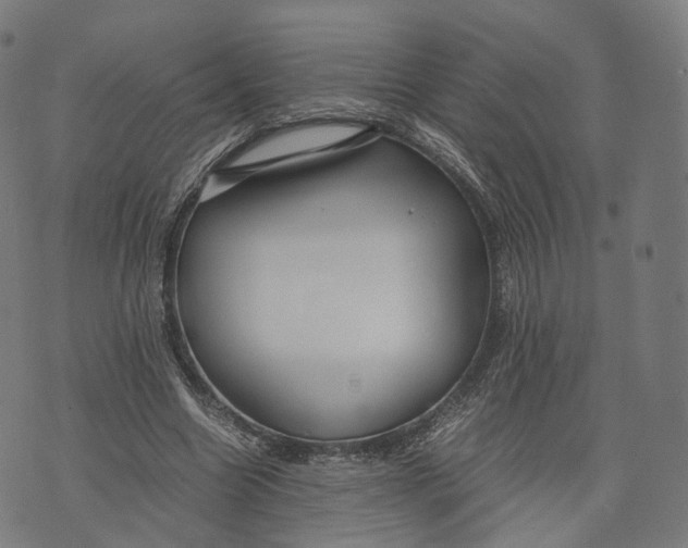 X0000074210538200609151558