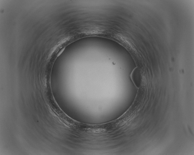 X0000074210539200609151558