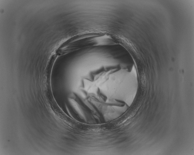 X0000074210540200609151558