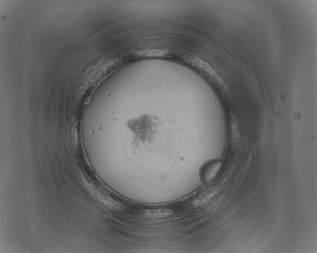 X0000074210541200609151558