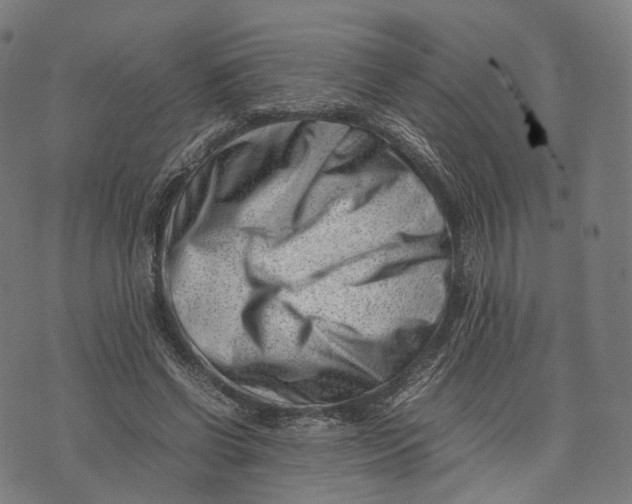 X0000074210542200609151558