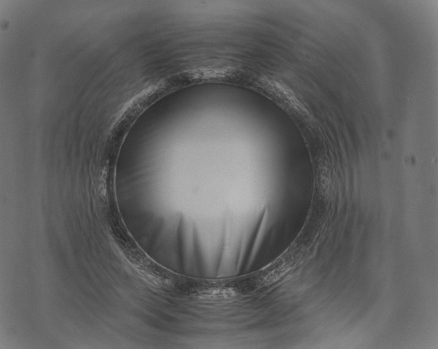 X0000074210543200609151559