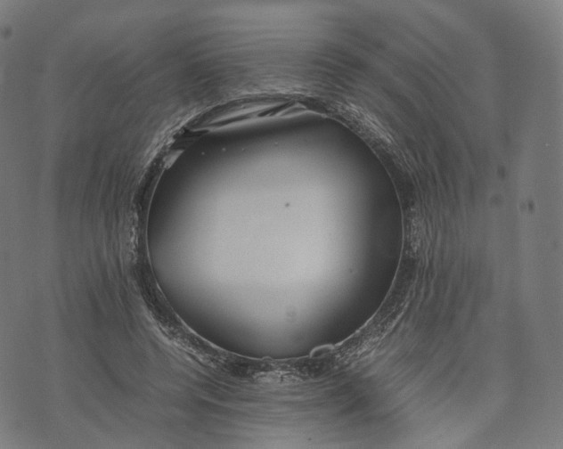 X0000074210544200609151559