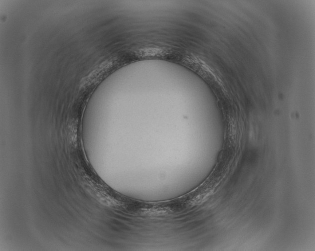 X0000074210545200609151559