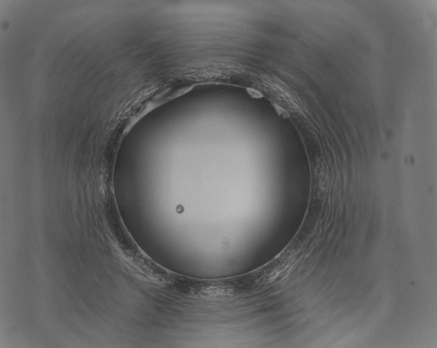 X0000074210546200609151559