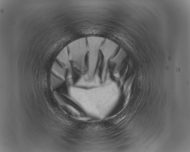 X0000074210547200609151559