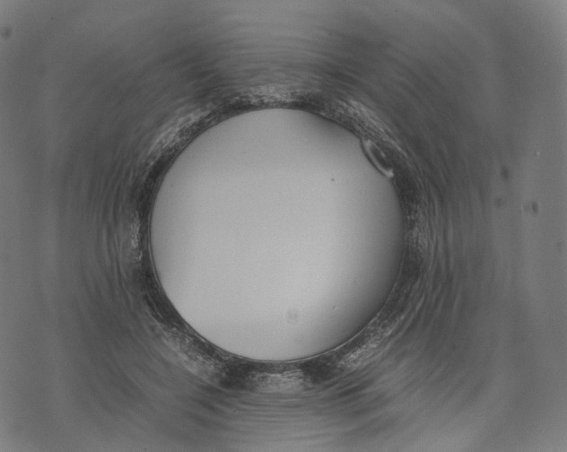 X0000074210548200609151559