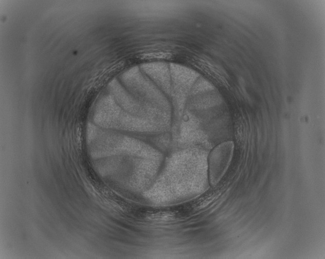 X0000074210551200609151559