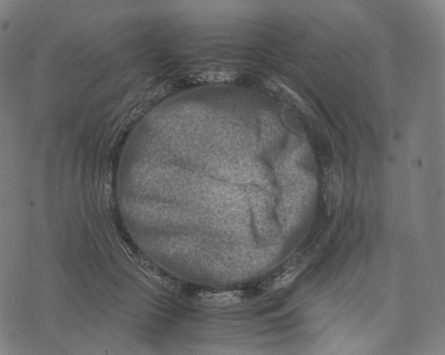 X0000074210553200609151559