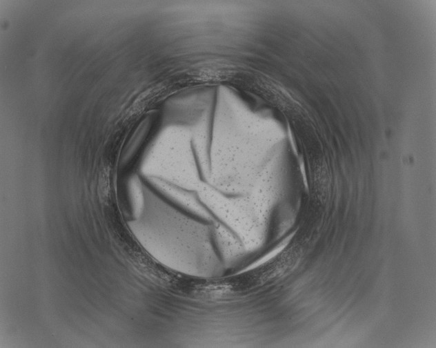 X0000074210554200609151559