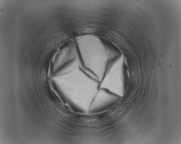 X0000074210555200609151559