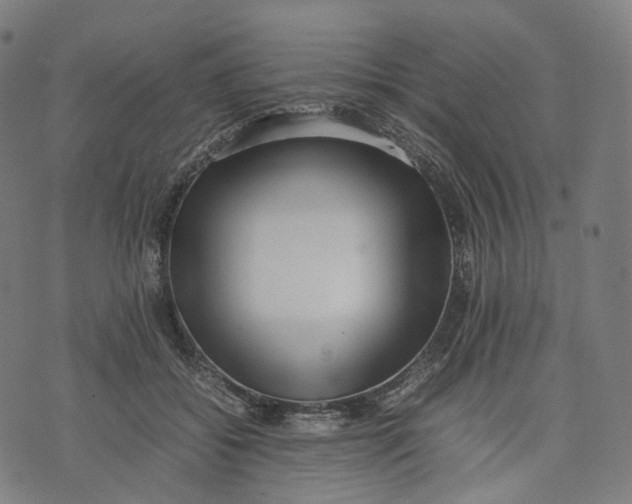 X0000074210556200609151559