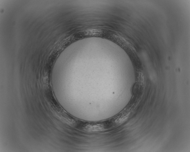 X0000074210557200609151559