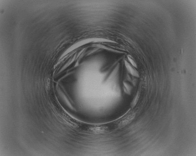 X0000074210558200609151559