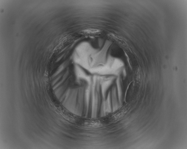 X0000074210559200609151559