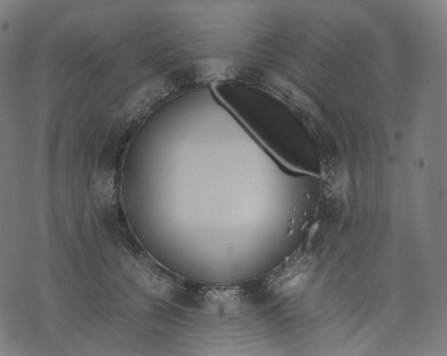 X0000074210560200609151559