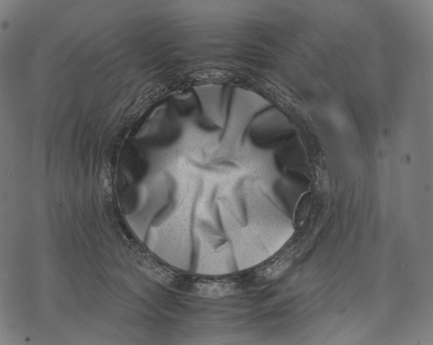 X0000074210561200609151559